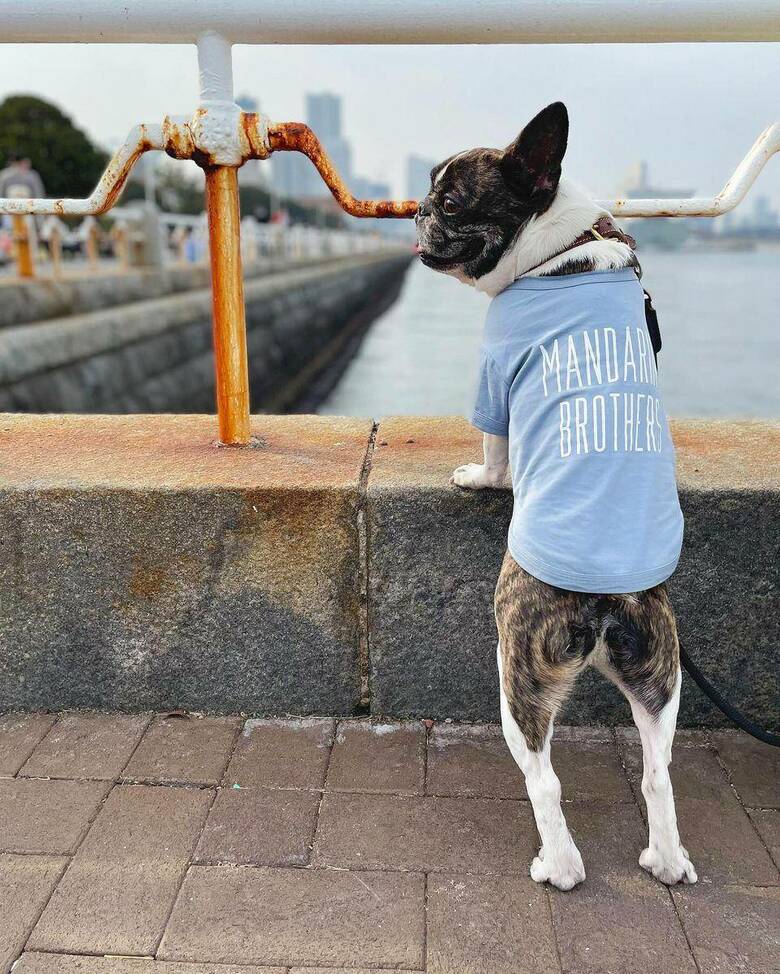 提供：丸男さん