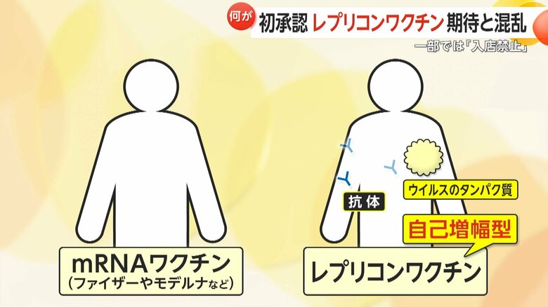 レプリコンワクチンはウイルスのタンパク質を体内で作り続ける