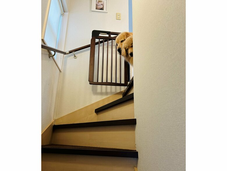 提供：efrinmanさん