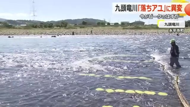 さぎり漁をする漁師