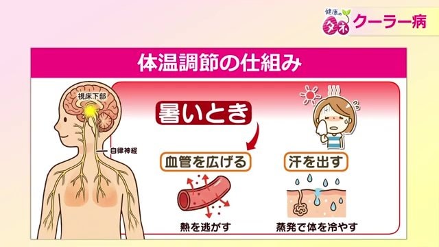 暑いときは血管を広げ熱を外へ