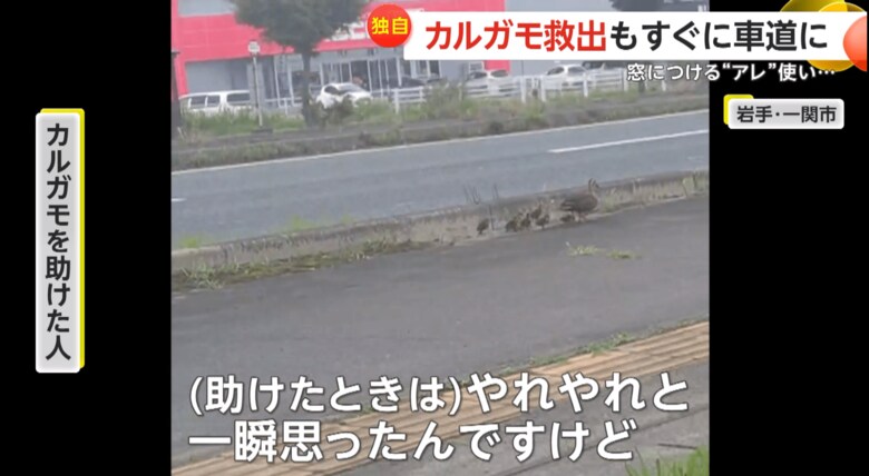 「歩道をドンドン進んでいき、道路に出ちゃったものだから」と語る撮影者