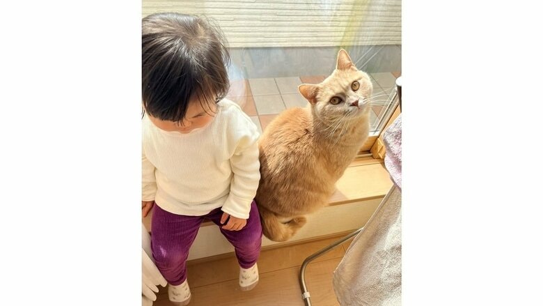 窓際で仲良しな娘さんと小鉄くん