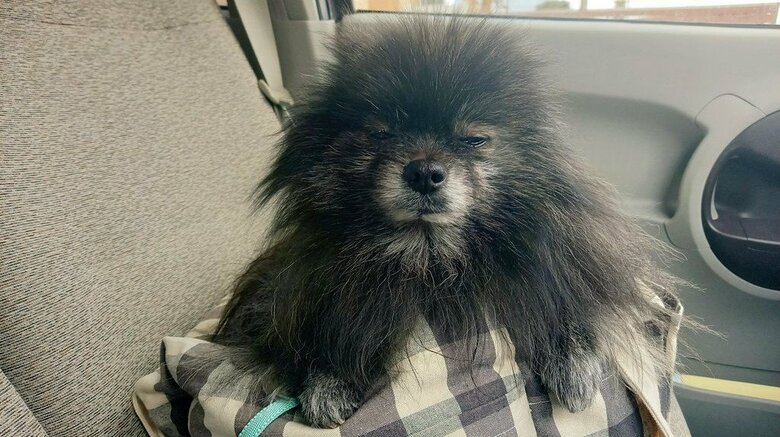 自宅に到着したけど、眠気が覚めていなかった時