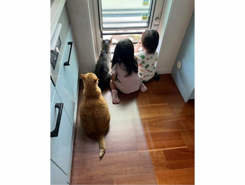 別の日にも外の景色を見ていた（提供：すずつむふうさん）