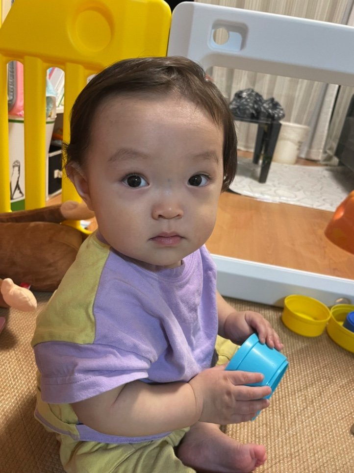 提供：ののさん