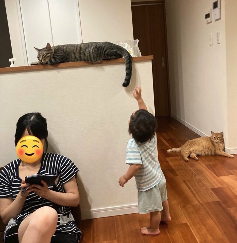 提供：かぎしっぽすず&つむぎさん