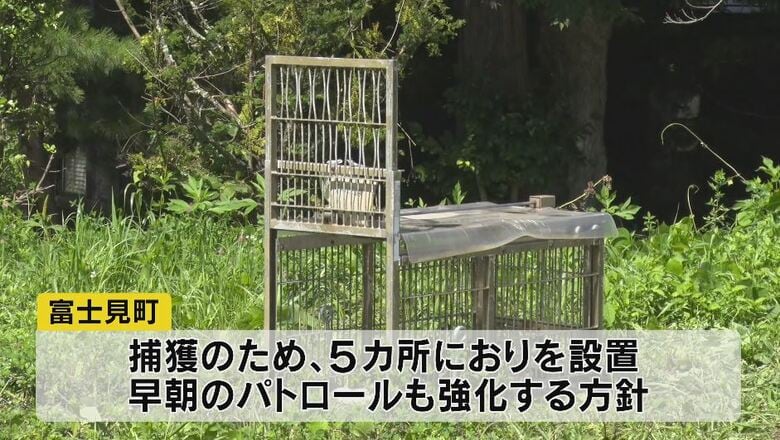 町は捕獲のためおりを設置（8月22日撮影）