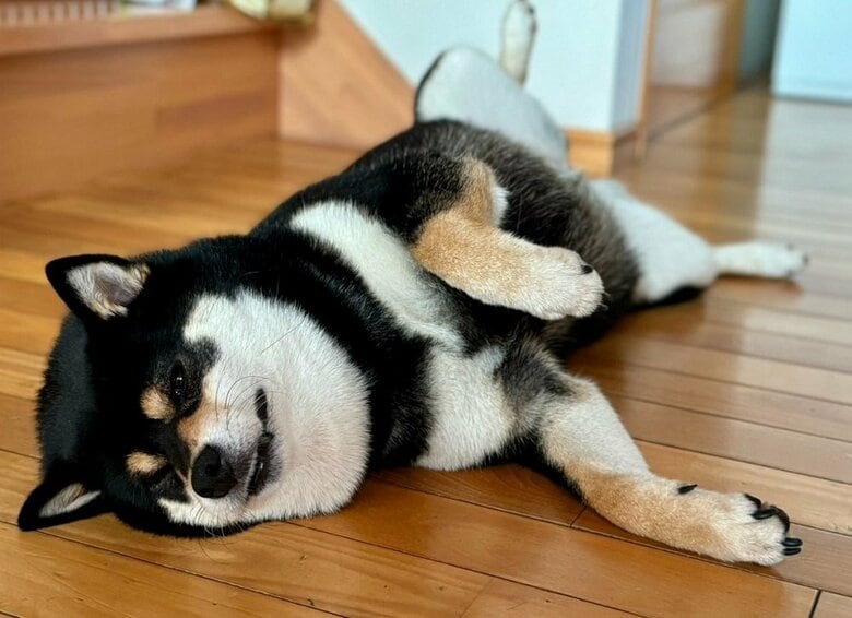 お目覚め直後