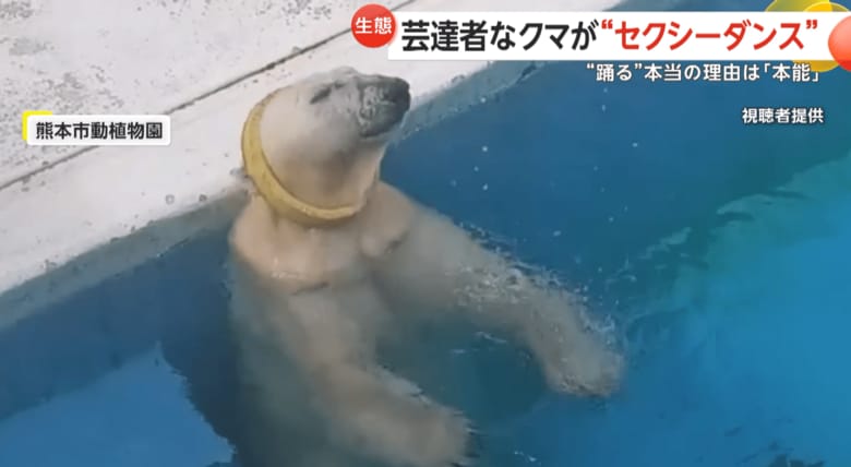 黄色い輪っかをネックレスのように首に通すマルル