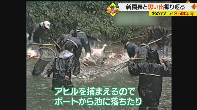 アヒルを捕まえようとし…