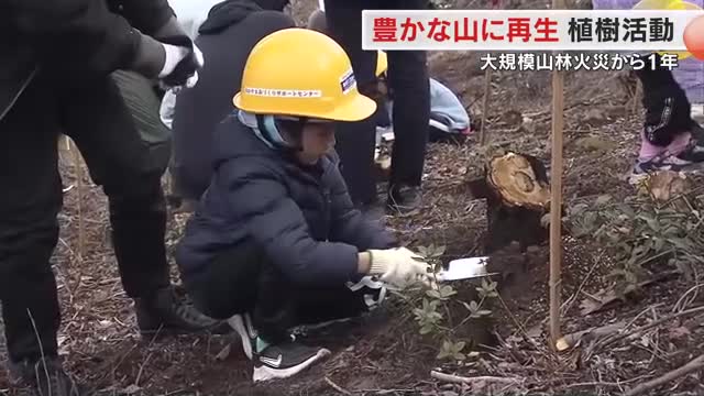 育てていくのは木々と“山火事を防ぐ心”　豊かな山の再生目指し…岡山市の山林火災現場で植樹活動【岡山】