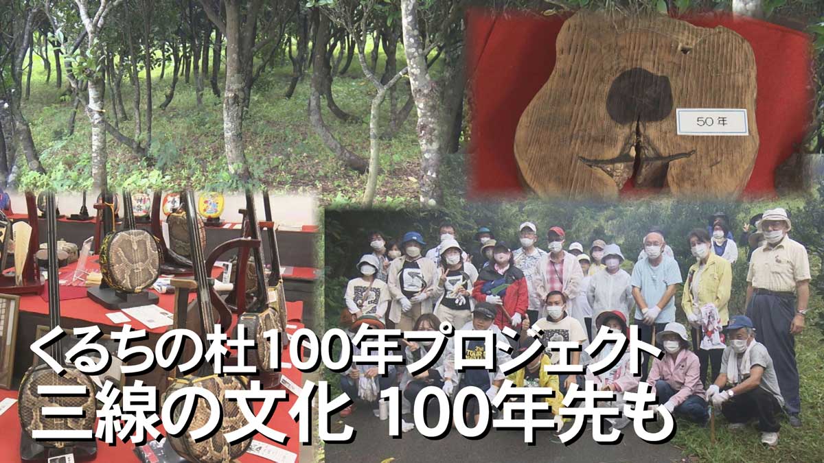 image-1-682x1024.png