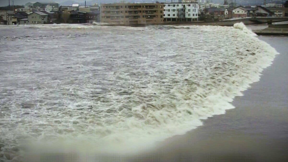 逃げる時間なんてない｣ 地震発生後すぐ到達する“津波” 高さ50cmでも命