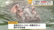 「長生きしてね」９月２１日は『敬老の日』とべ動物園で長寿の動物をお祝い【愛媛】