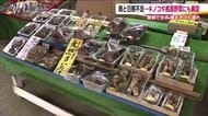 湿気を好むキノコでも…長雨で成長できず　秋の味覚がウリの直売所に異変　高原野菜の生育も遅れる　福島