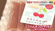 規格外サクランボが「こんにゃくゼリー」に変身！　食のプロを目指す調理科の生徒と企業がコラボして商品開発【山形発】