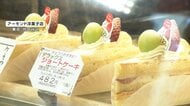 カカオ高騰に国産バター不足…洋菓子店を襲う“ダブルショック”　仕入れ値2倍も値上げせず奮闘　国産カカオ栽培も