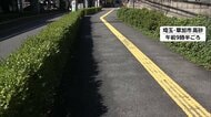 路上強盗の男2人組が逃走　体当たりし顔面にスプレーかけバッグ奪う手口　同一犯か近くで強盗未遂事件も　埼玉・草加市