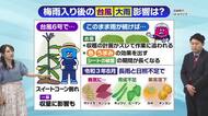 6月10日（水）宮崎の天気