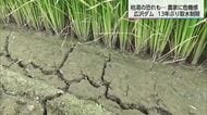 宮崎・広沢ダムで13年ぶりの取水制限 貯水率15.8%に低下 9月上旬にも枯渇の恐れ
