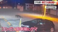 コンビニ周辺にクマ出没の大野市　7月10までに3カ月分に匹敵する13件の目撃や痕跡　市や関係機関が対策を協議　【福井】　
