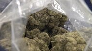 乾燥大麻31kg末端価格1.5億円分をスーツケースで密輸…ベトナム人女2人起訴　関空“摘発”で過去最大量　組織的犯行か