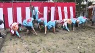住吉神社で五穀豊穣を祈る「御田植祭」　巫女らが早乙女姿で苗を植える　福岡市