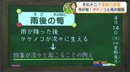 「雨後の筍」今年のタケノコはなぜ少ない？15日は「雨上がり北風強まる昼下がり」【佐賀県】