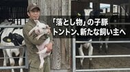 落とし物の「子豚のトントン」警察署から新たな飼い主の元へ　みんなを笑顔にする幸せの子豚