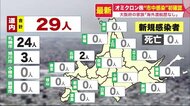 国内初確認