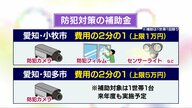 庭のイルミネーションも効果的…個人の住宅で有効な“侵入盗対策” 補助金制度の活用も