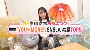 アザラシや羊に牡蠣もぬいぐるみに! フェリシモで人気の“いきものモチーフ”雑貨TOP5