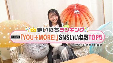 アザラシや羊に牡蠣もぬいぐるみに! フェリシモで人気の“いきものモチーフ”雑貨TOP5