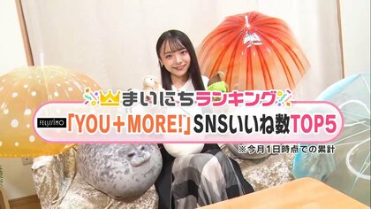 アザラシや羊に牡蠣もぬいぐるみに！ フェリシモで人気の“いきものモチーフ”雑貨TOP5