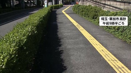路上強盗の男2人組が逃走　体当たりし顔面にスプレーかけバッグ奪う手口　同一犯か近くで強盗未遂事件も　埼玉・草加市