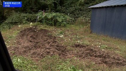 秋田･宮城でクマ被害相次ぐ　ランニング中や住宅で襲撃