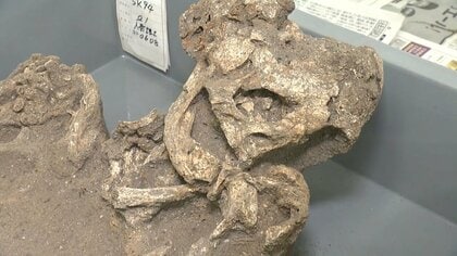 「ウソだと思った」奇跡の大発見…4000年前の‟お宝”100万点が続々出土 【福島発】