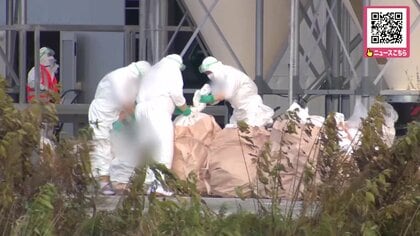 【高病原性鳥インフル確認】恵庭市の養鶏場で採卵用ニワトリ60羽以死亡…約23万6000羽を殺処分へ―白老町に続き今シーズン全国2例目〈北海道〉