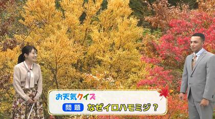 “紅葉スイッチ”は最低気温8℃以下　“イロハモミジ”の名前の由来は葉の数え方？　紅葉狩りがもっと面白くなる豆知識を気象予報士が解説