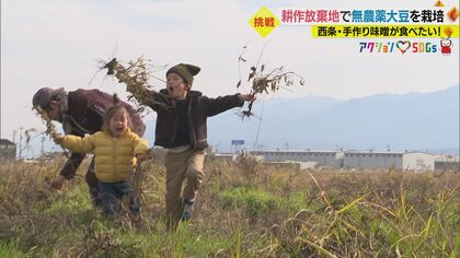 亡き祖父の土地に豆まき…「手間をかけずに無農薬」 大豆の収穫から挑む“味噌づくり”【愛媛発】