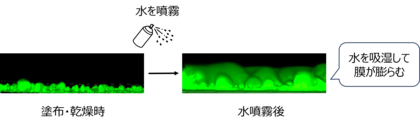湿度変化に応じて吸放湿するUV防御塗膜技術を開発