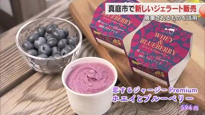 安価で廃棄されていた「ホエイ」の酸味をブルーベリーなどと合わせジェラートに…真庭市で発売開始【岡山】