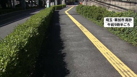 路上強盗の男2人組が逃走　体当たりし顔面にスプレーかけバッグ奪う手口　同一犯か近くで強盗未遂事件も　埼玉・草加市
