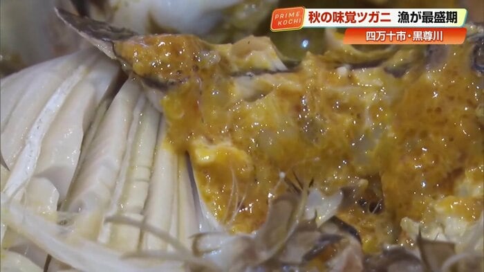 記者も思わず笑みがこぼれる濃厚なカニみそ