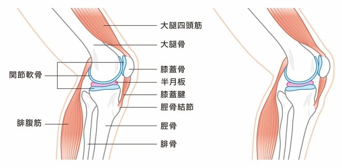 （画像はイメージ）
