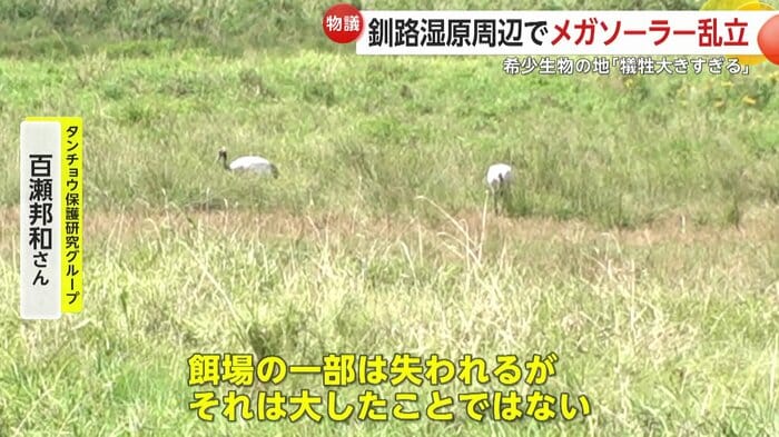 開発会社からヒアリングを受けたという保護研究グループ理事長は「営巣例はない」と話す