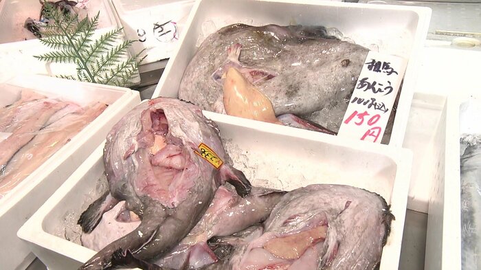 鮮魚店にズラリと並んだアンコウ