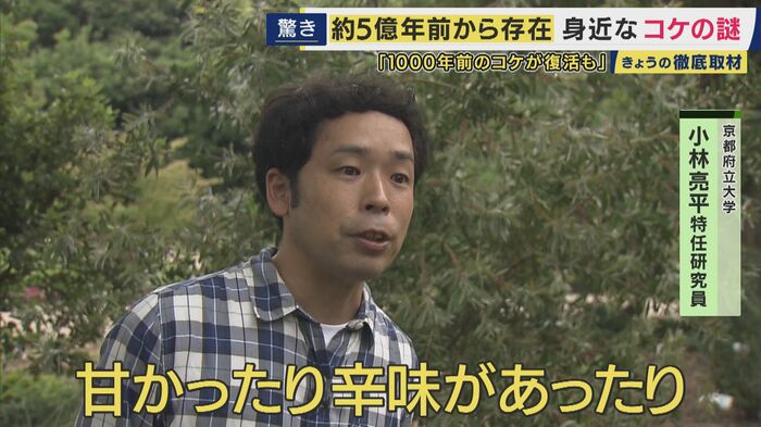 京都府立大学 小林亮平特任研究員