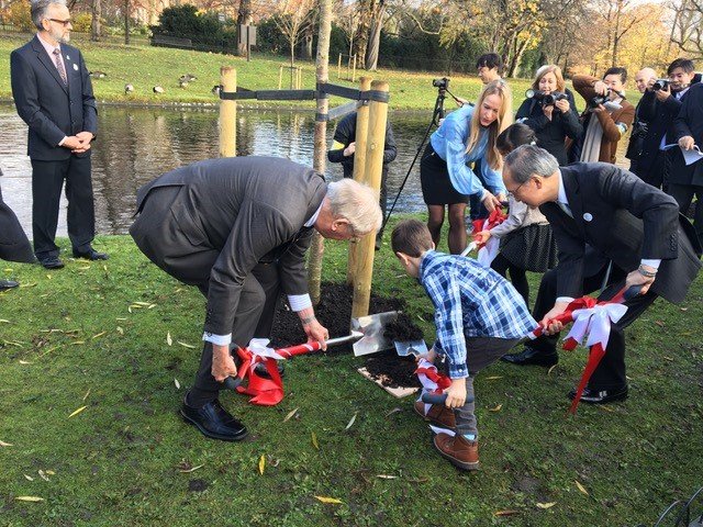 最初の桜植樹（2019年）
